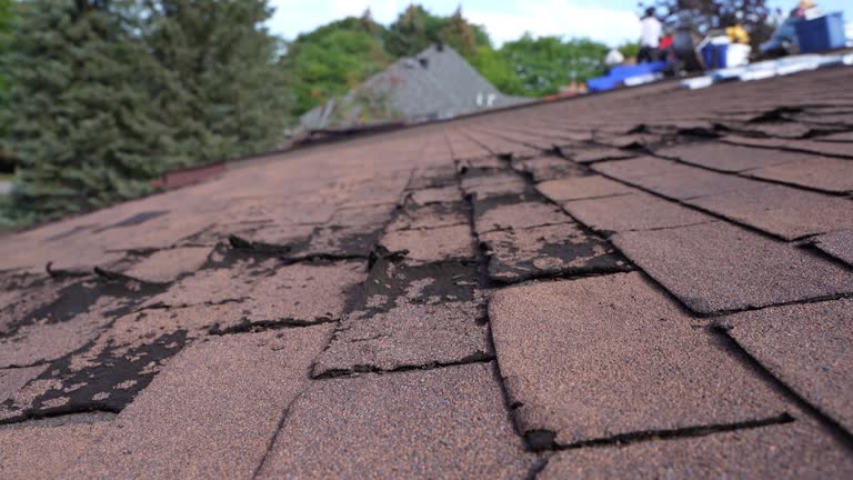 Best Gutter Installation and Repair  in Bangor, ME